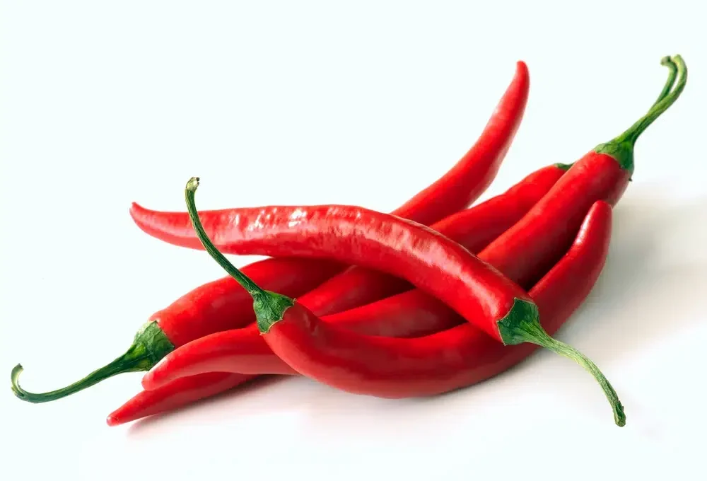 Red Chilli